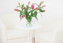 Apartment A1